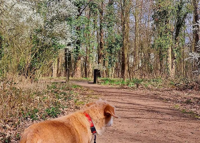 Reuterhof 2* Дармштадт