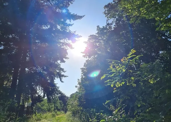 Отель Reuterhof