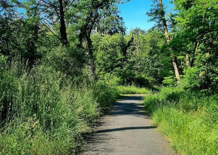 Отель Reuterhof 2*